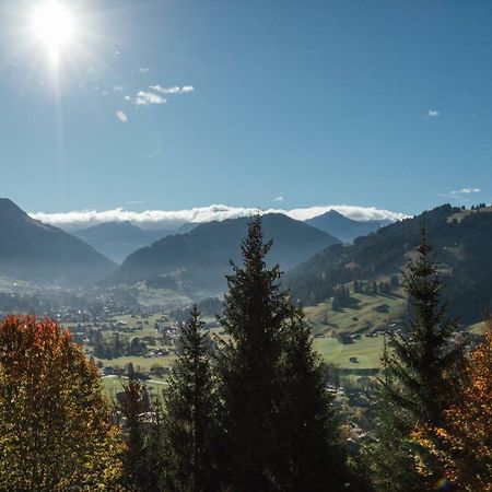 Budget Rooms Gstaad Шонрід Екстер'єр фото