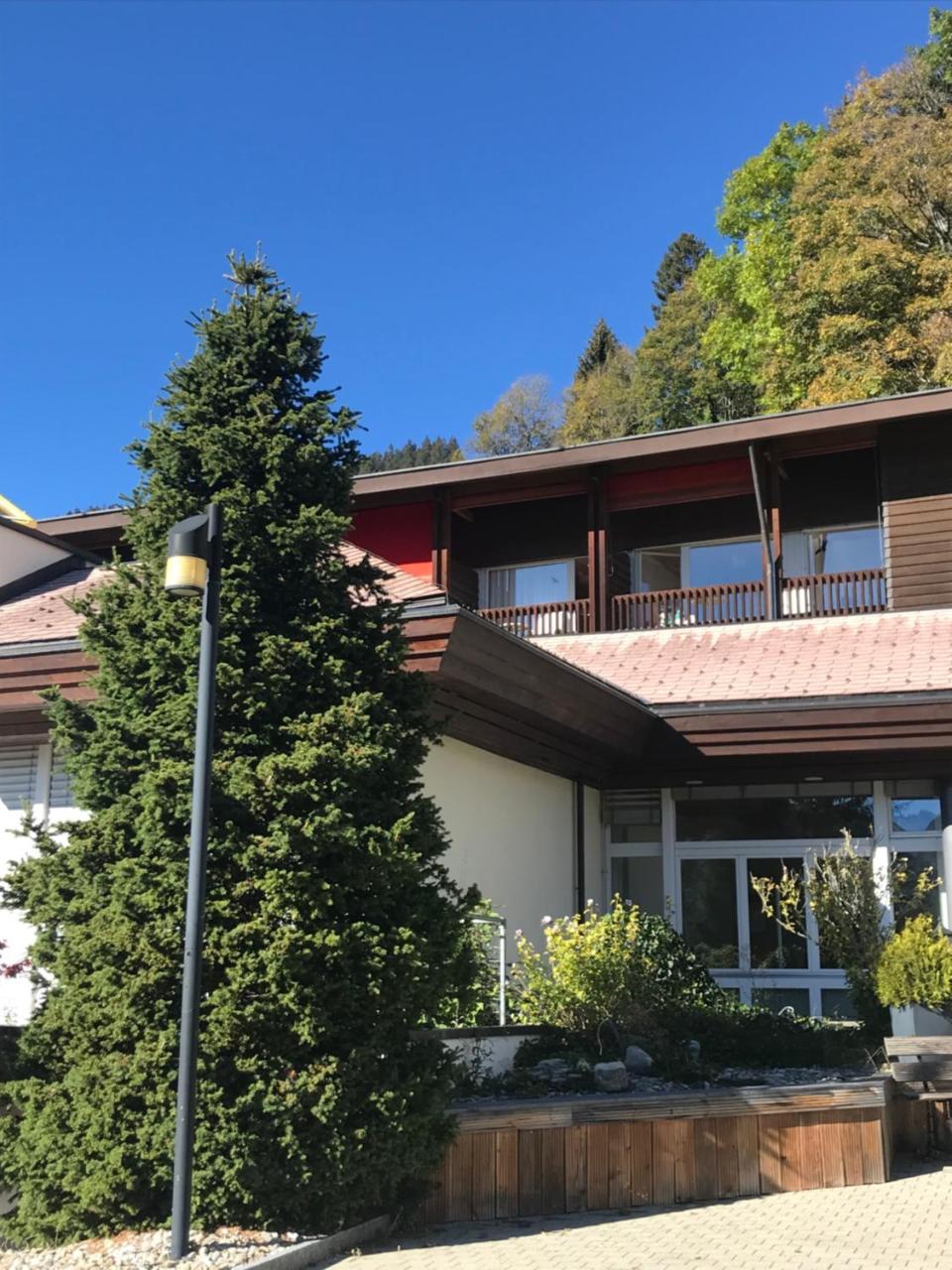 Budget Rooms Gstaad Шонрід Екстер'єр фото