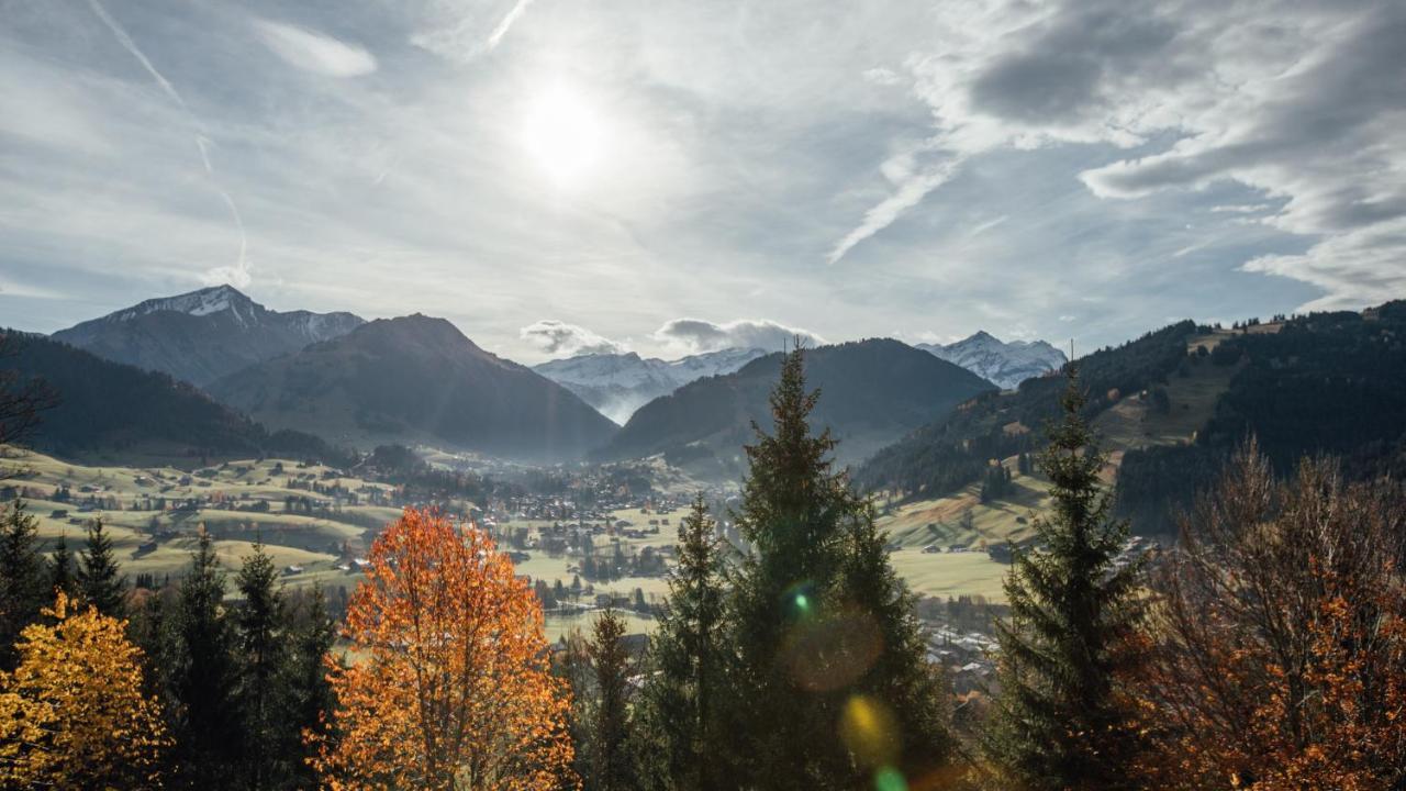 Budget Rooms Gstaad Шонрід Екстер'єр фото