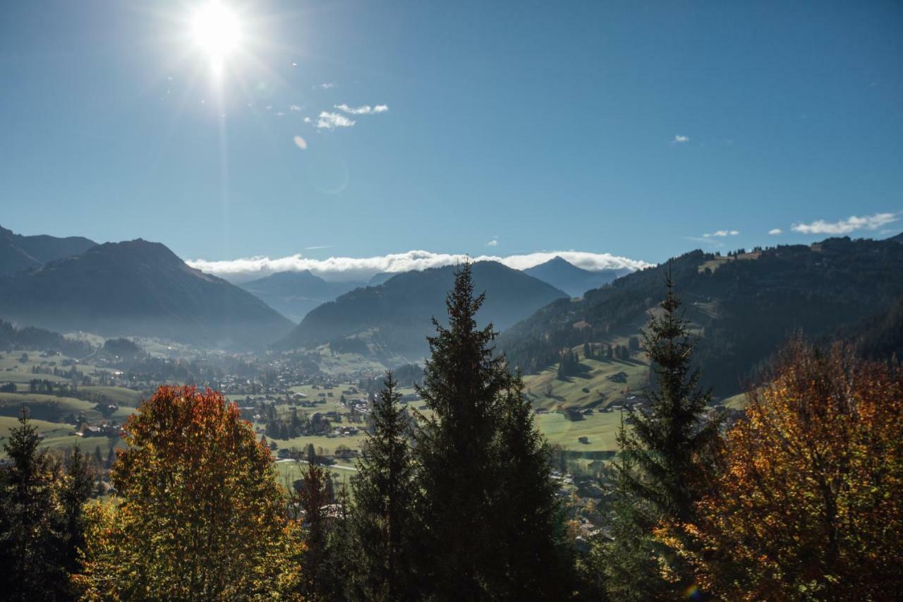 Budget Rooms Gstaad Шонрід Екстер'єр фото